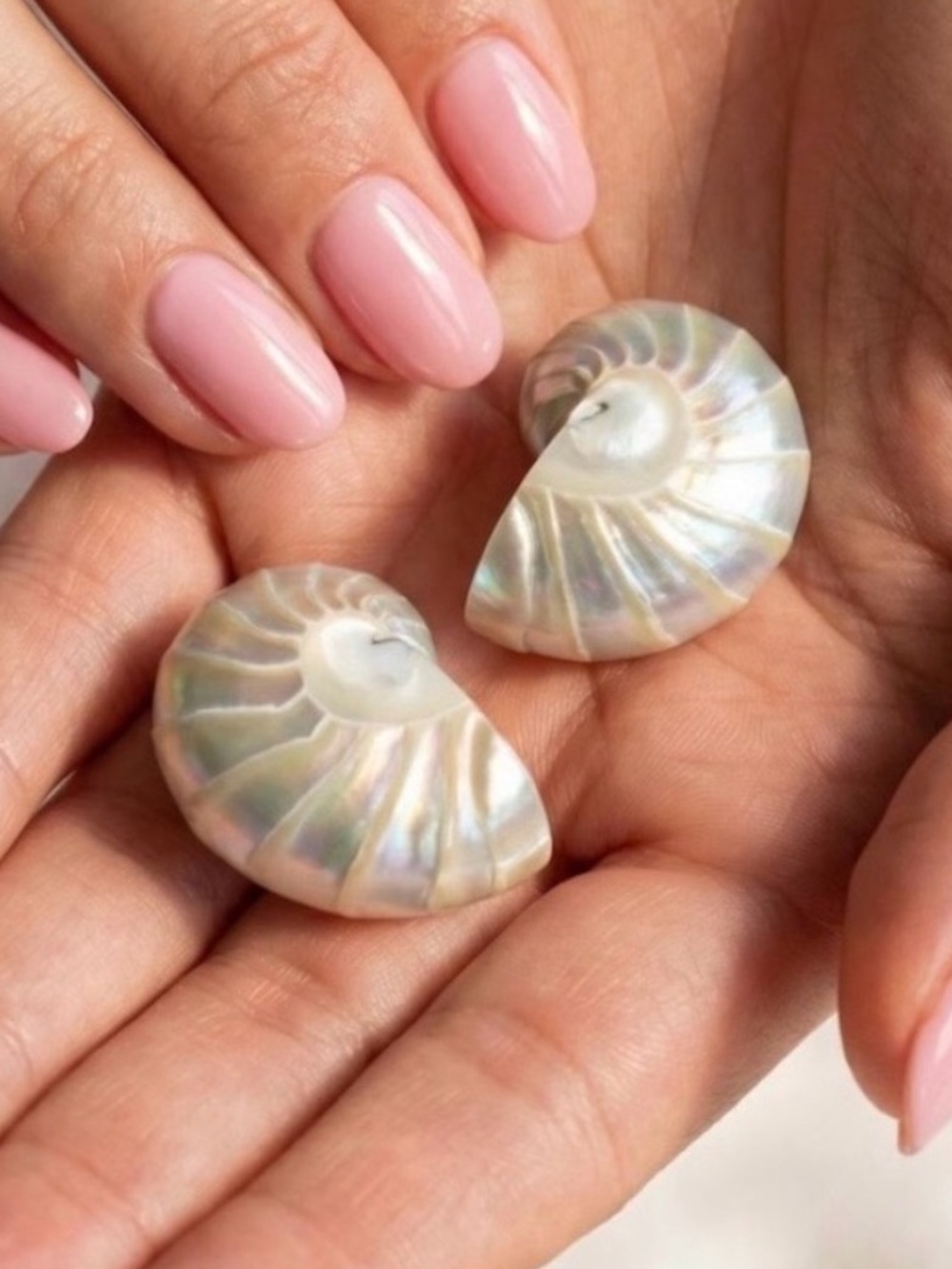 Lily Frank Nautilus Shell Earrings. Brand new!